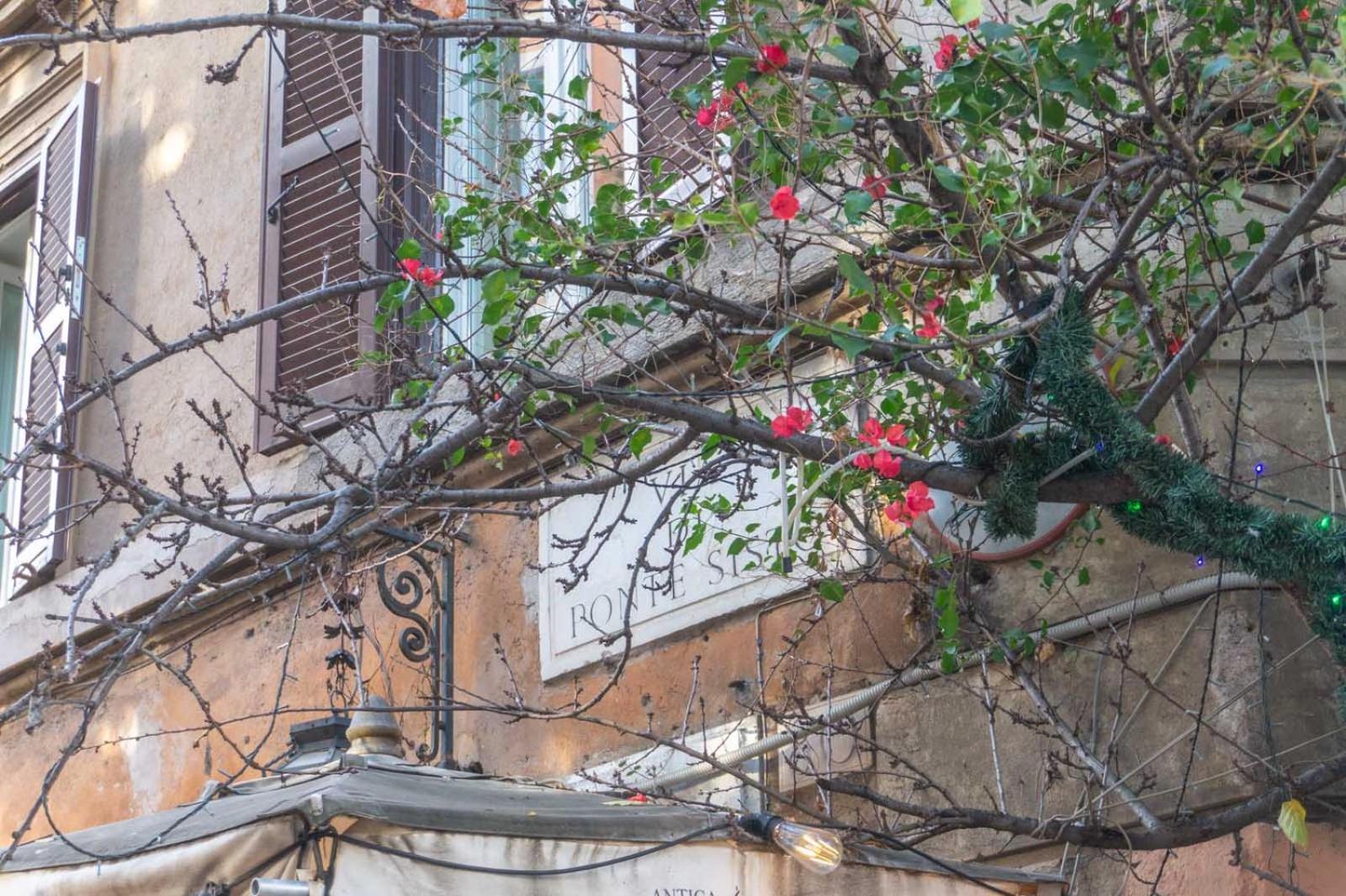 Lusso E Panorama Senza Paragoni, Loft Trastevere Roma Exterior foto